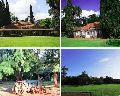 Tour image of Nairobi City